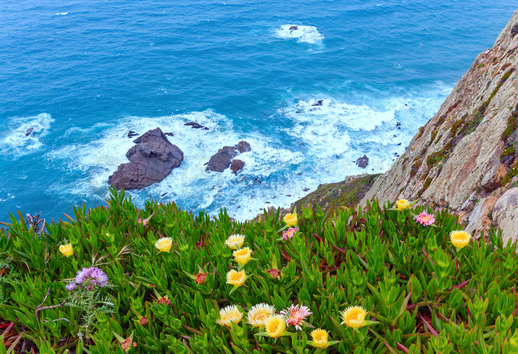 ޿ (Cabo da Roca) ϵıֲ￪󺣰ͼ