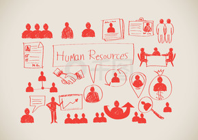 人力资源和人力管理图标理念设计