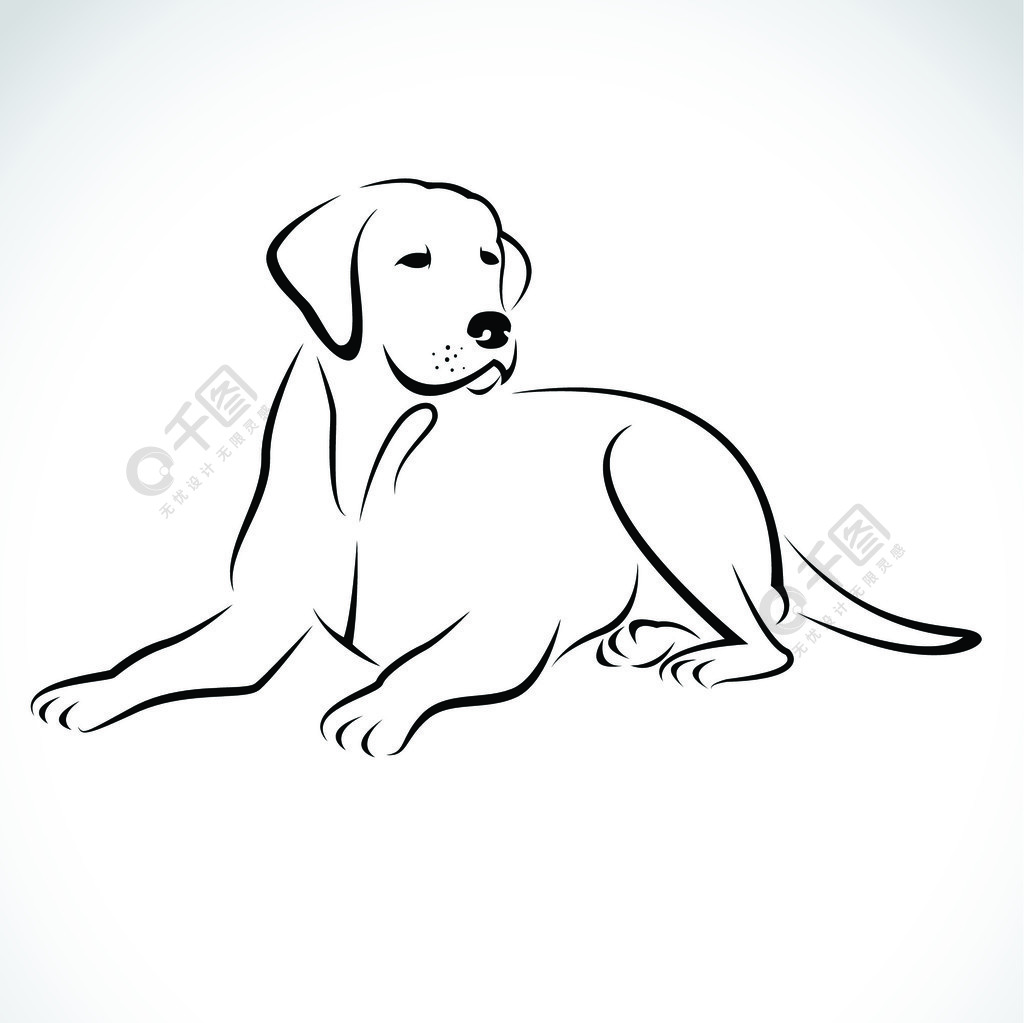 拉布拉多犬素描图片