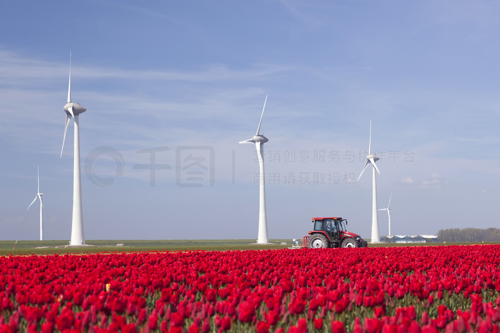 noordoostpolder flevolandͺɫķֻ