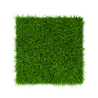 绿草草<i>坪</i>。在白色背景上隔离的 3d 插图