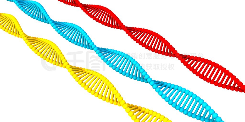 Dna ṹֳ󱳾Ϊһ DNAṹ