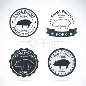 白色背景、标志、符号、横幅上的一组矢量猪标签