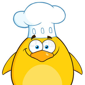 有趣的厨师黄色小鸡卡通人物。在白色上隔离的插图
