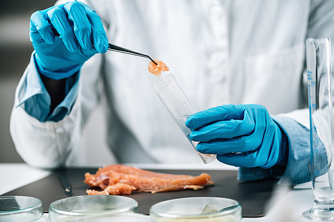 生鸡肉食品安全实验室检验