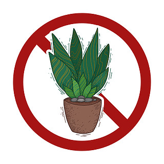 禁止标志的卡通肉质植物禁止芦荟过敏的危险