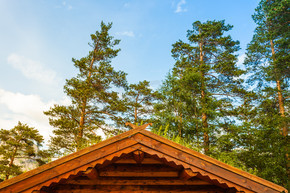 挪威典型的乡间别墅，屋顶上有草。有草屋顶的挪威房子