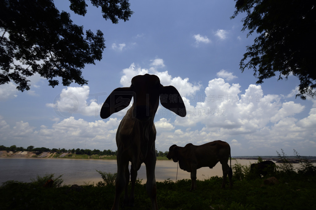 ̩ɣ븮ɲʡعϵ Lakhon Pheng  Naturepark Sam Phan Bok Ȼ԰عϵһͷţ
