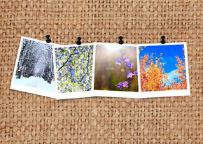 与解雇有关的四个季节的照片。织物背景上的季节照片。四张不同季节的照片。春、夏、秋、冬在粗麻布上的不同时期。与解雇有关的四个季节的照片。织物上的季节照片