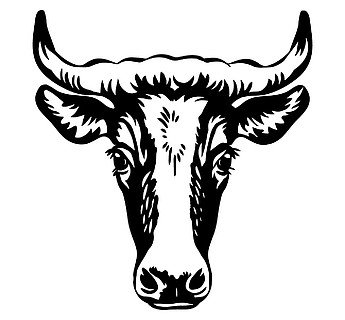 牛头图标的矢量图解,黑色隔离在白色上雕刻牛的模板图像