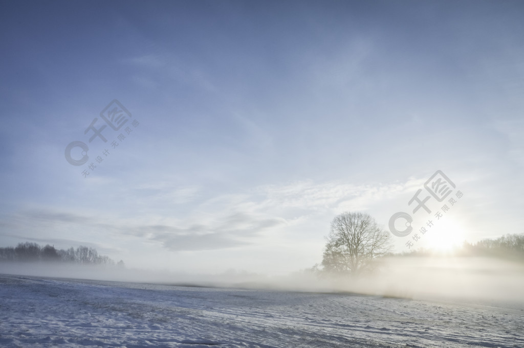 冬天早晨風景與雪域樹一層霧和太陽昇起在德國