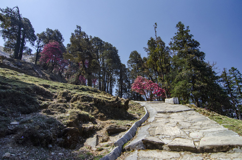 ͨӡȱ° Chopta Ӻ߶ͨʪɫӡȱ°Ӻ߶ͨʪɫ