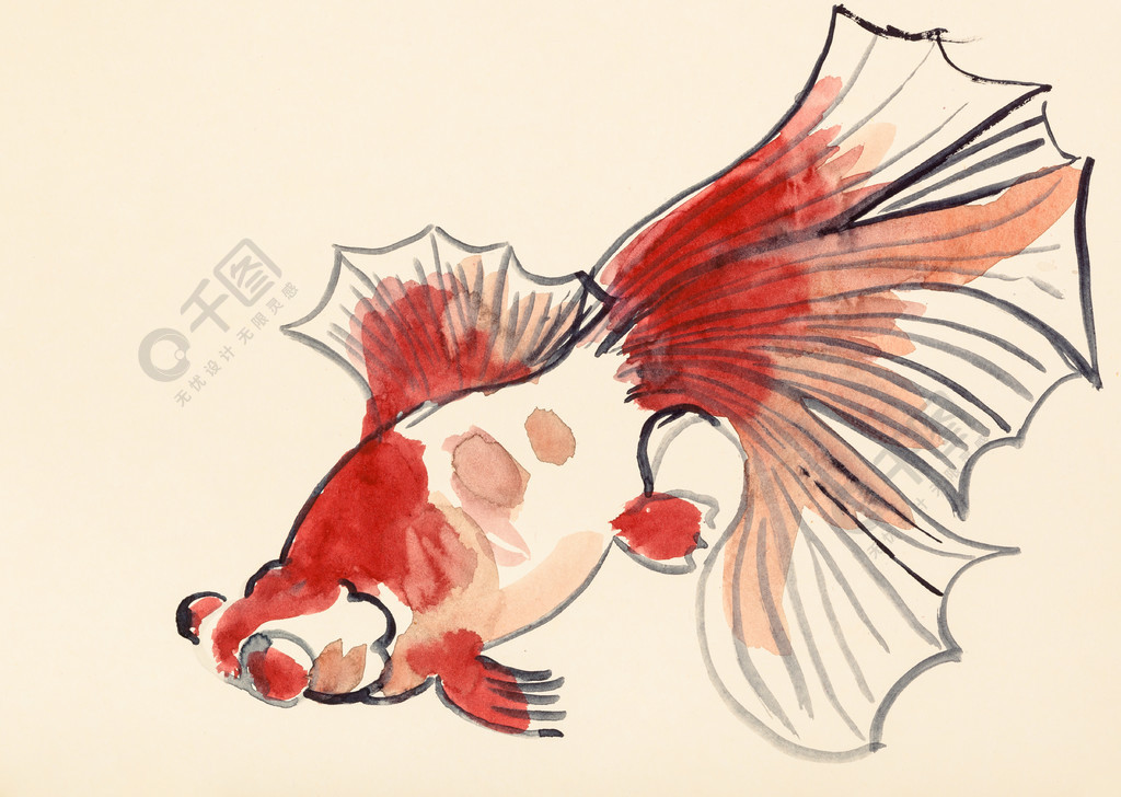 用水彩颜料在suibokuga风格中训练绘画象牙色纸上的红色金鱼