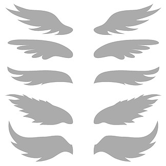 插图与白色背景上的翅膀剪影
