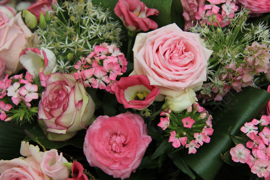 各种粉红色的混合新娘花