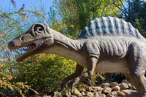 棘龙的孩子的彩页恐龙棘龙或多刺的蜥蜴在白色背景上孤立古代恐龙怪物