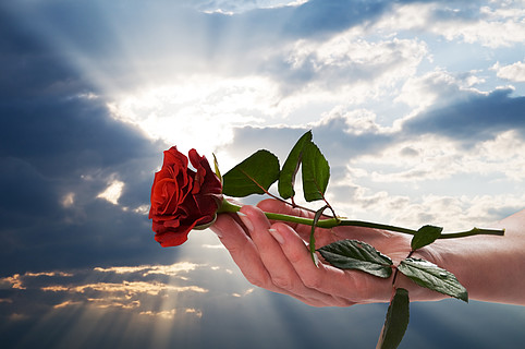 捧着红玫瑰在浪漫的风景中,落日的天空情人节,爱情,宗教概念