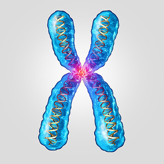染色体遗传 dna 概念作为具有双螺旋基因结<i>构</i>的微观分子作为遗传或进化突变的微生物学和医学符号作为 3D 插图。