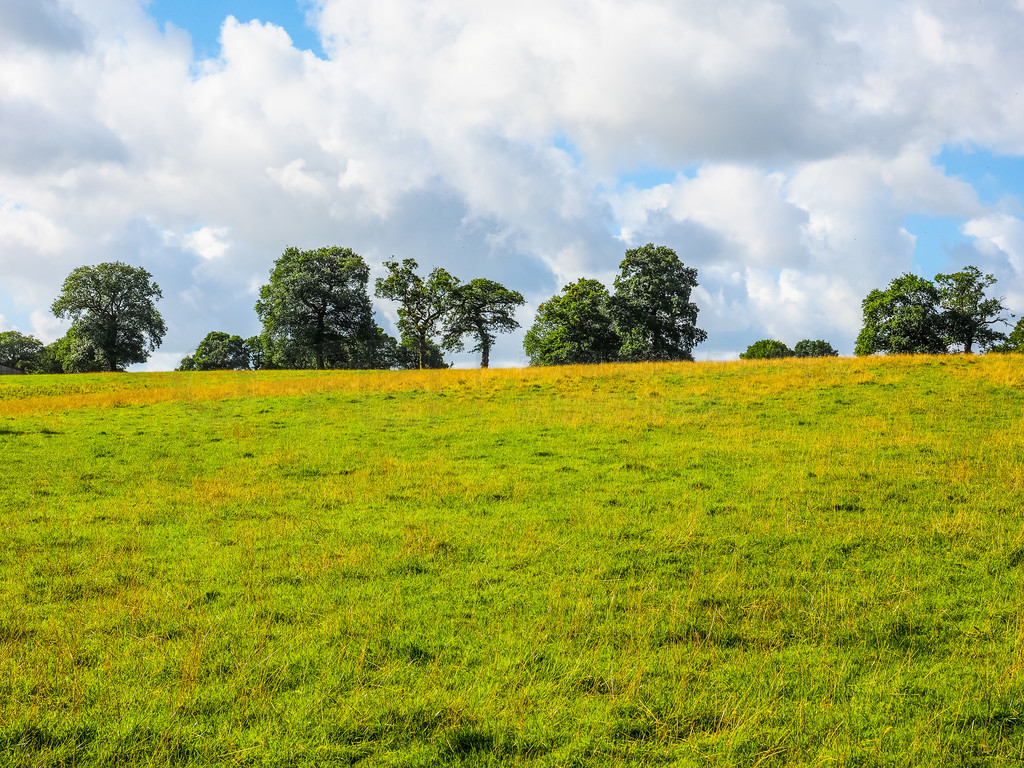 Ŷ HDR е Tanworth ͼӢ˿ Arden  Tanworth ĸ߶̬Χ HDR Ӣ