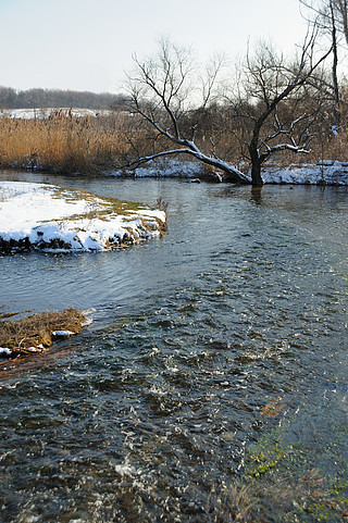 春天的河流春季解冻天气后的汹涌小溪