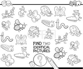 为有虫子动物角色着色书的儿童寻找两张相同图片教育游戏的黑白卡通插图