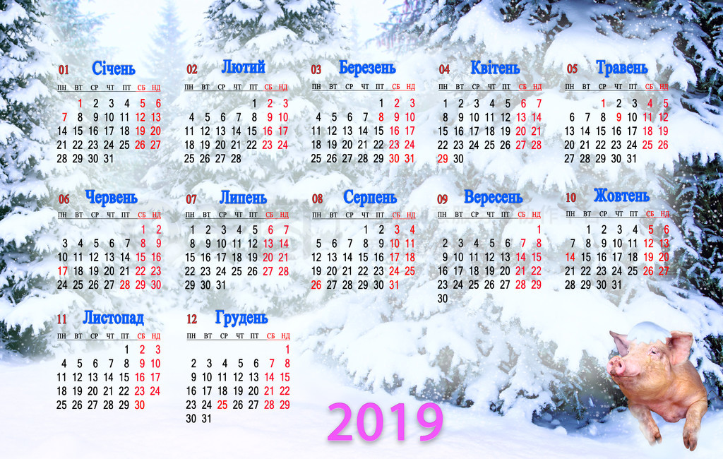 2019 ȤӰѩɭɼ̽ͷ 2019 ڿ󡣰칫Һͼͥʹõ 2019ڿ붬ɭɼµ