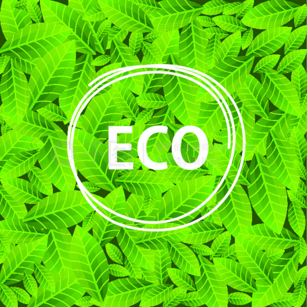 ҶԲοеĴ ECO̬ʸͼҶԲοеĴ ECO̬ʸͼ