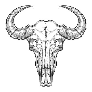 布法罗头骨素描水牛头骨矢量速写复古手绘动物头颅骨