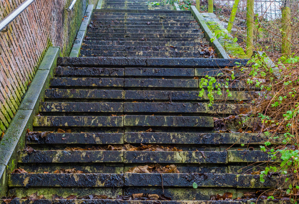大自然中的石梯户外建筑树叶覆盖的台阶滑梯