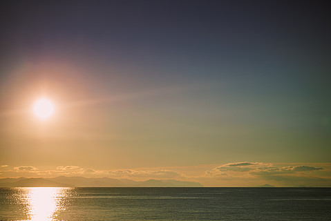 雄鹿朝著冉冉升起的太陽穿過樹木在寒冷的冬天早晨景觀海邊的熱帶日出