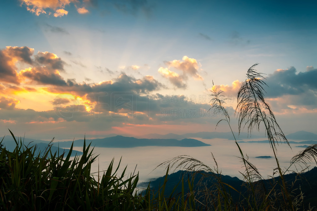  Doi Pha Tang ﳿɽ