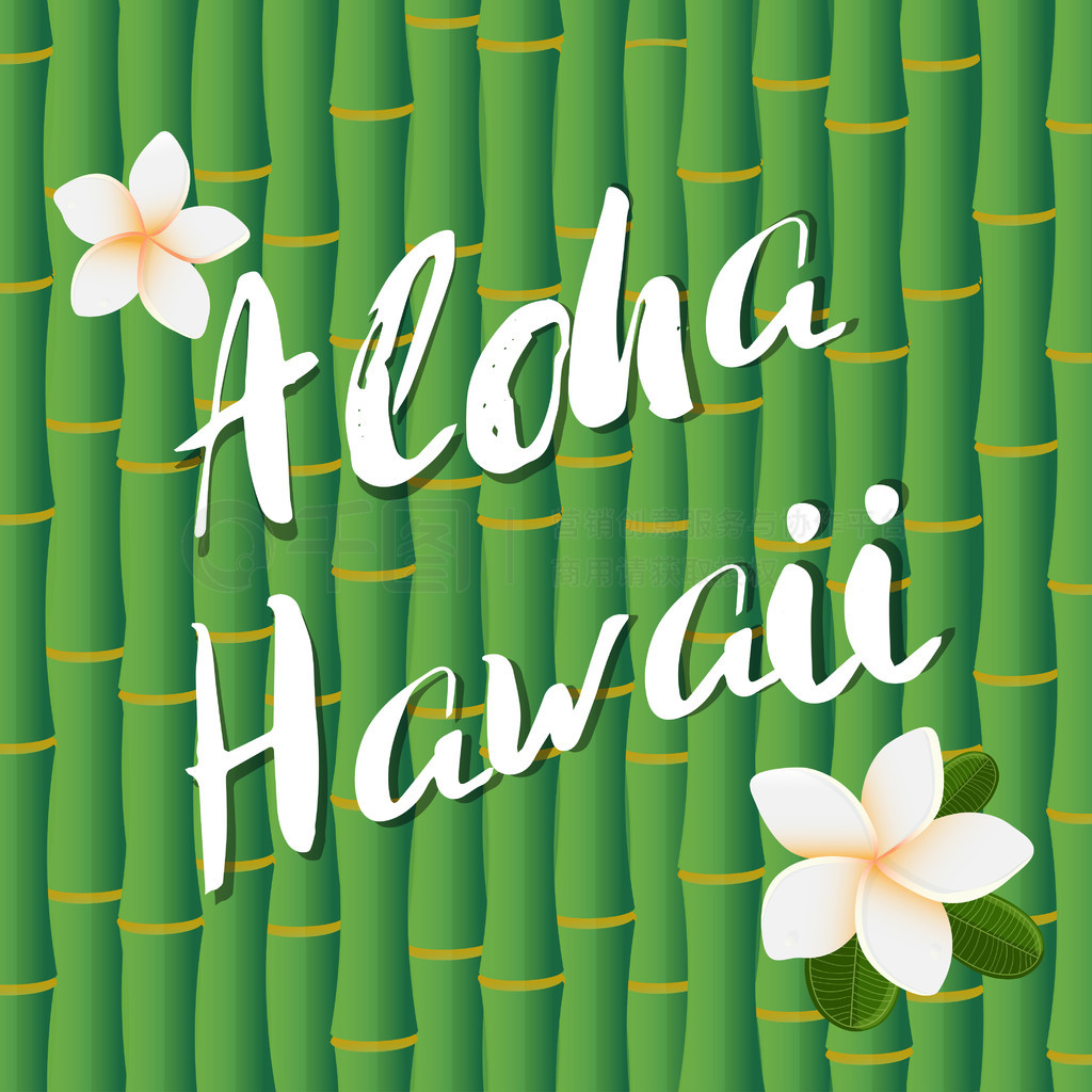 Aloha ëֵʸ񾥱ͷʯϡ Aloha ë񾥱ͷʯϵʸơȴ