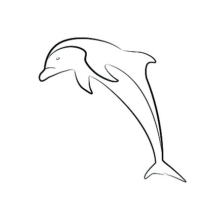 跳跃海豚的轮廓插图 i