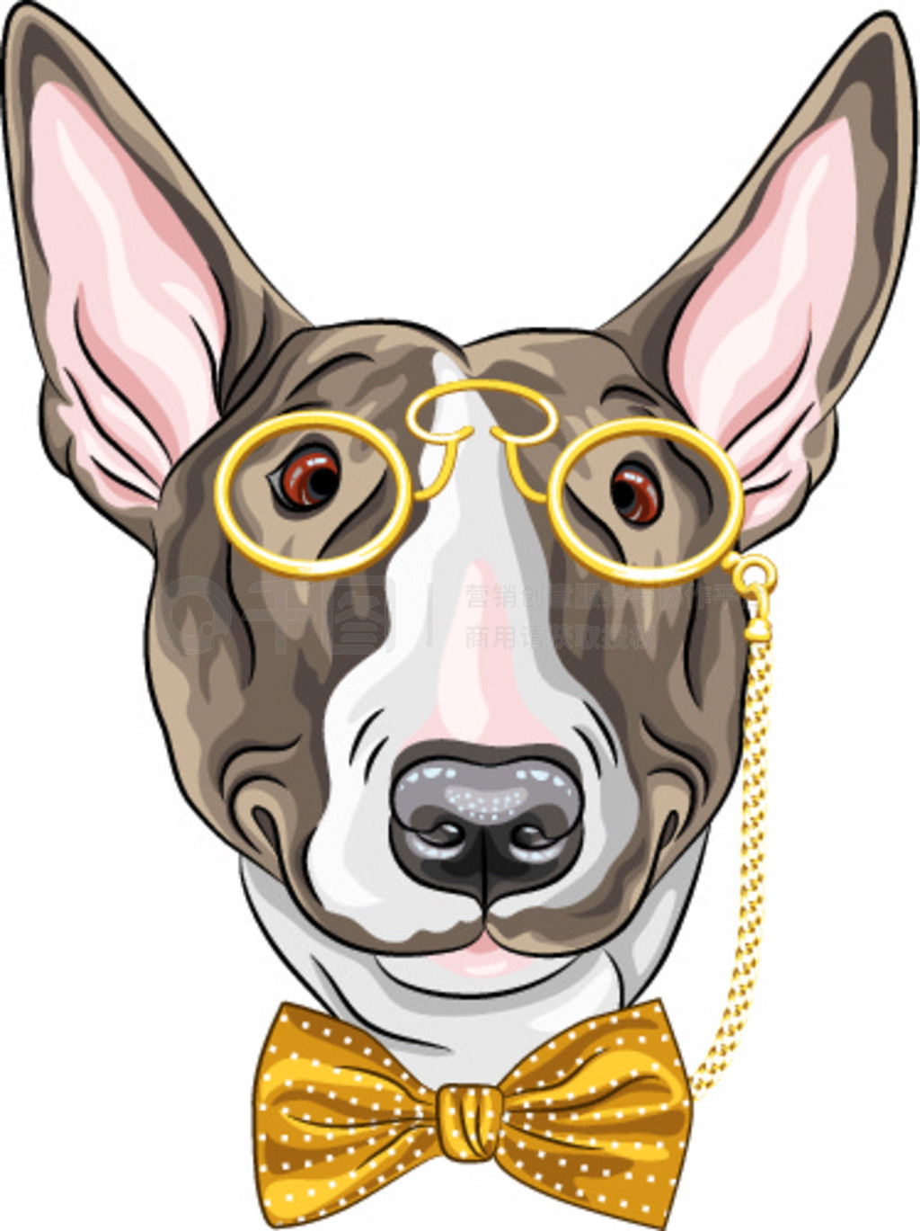 ʱֵĹ Bullterrier ڽɫб۾зֳ