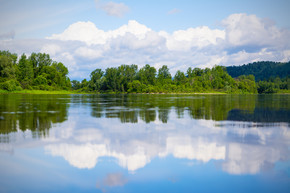 美丽的风景，蓝天白云倒映在清澈的河水中。山湖的树木繁茂的水边。夏日田园风光。蓝天白云映照的美丽风景