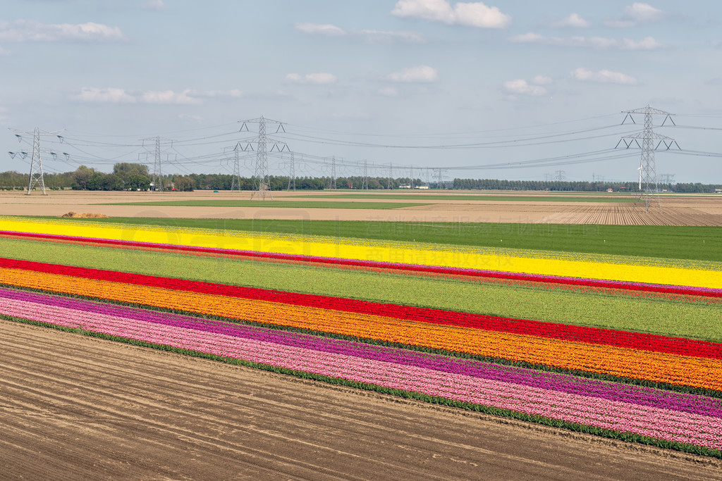  Noordoostpolder еɫ Noordoostpolder Ĳɫ