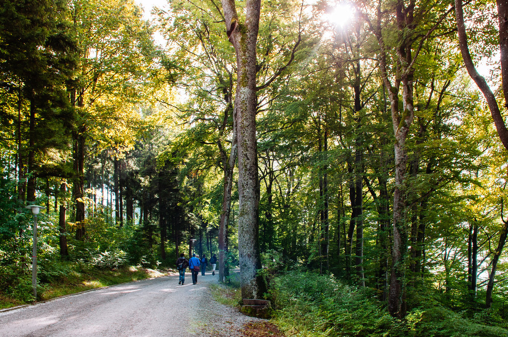 2013  9  22 գʿ  ɭֲοǰ Uetliberg ɽ۾ Uetliberg Aussichtsturm ۾̨ĳо