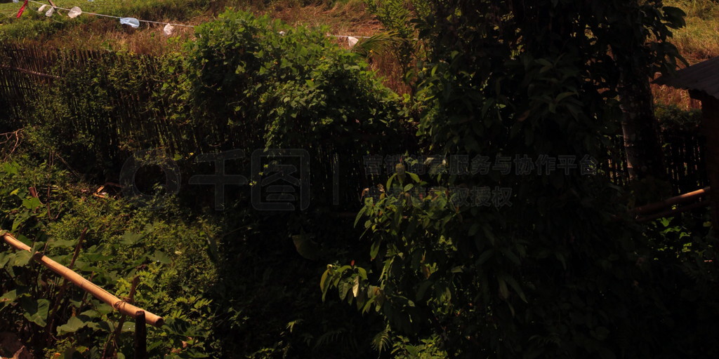 ٵŲ 13 ŹϿ帽ľ.. ASIA LAO VANG VIENG LUANG PRABANG