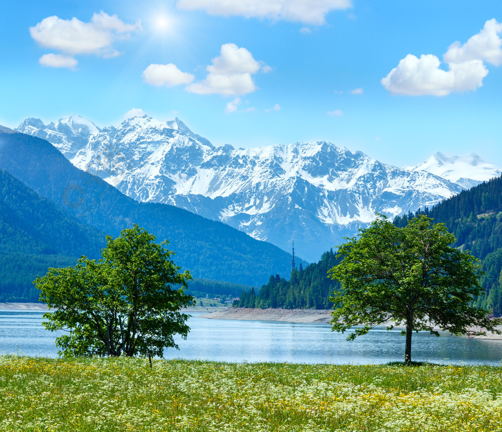 阳光明媚的reschensee或湖reschen夏季景观与开花的草地和蓝色多云的