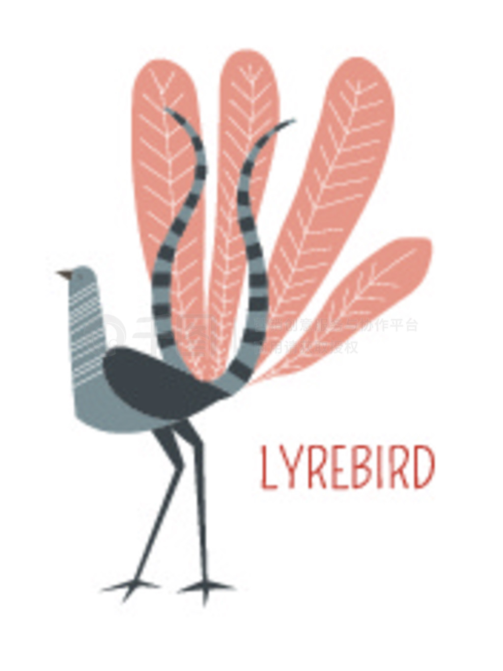 ķɫͻɫΪLyrebird