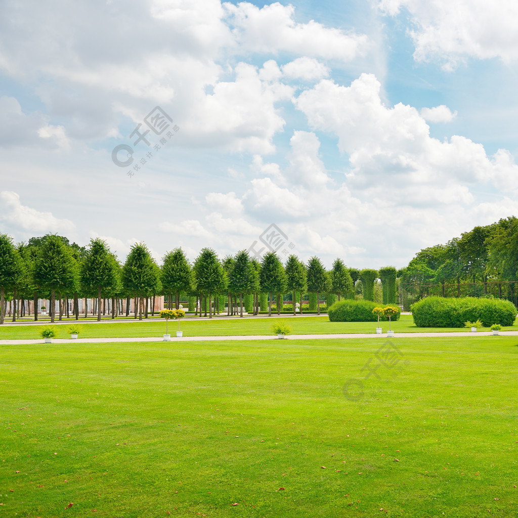 公園裡美麗的草地