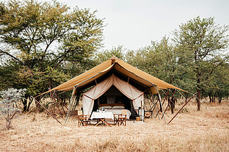 2011 年 6 月 22 日，坦桑尼亚塞伦盖蒂-塞伦盖蒂稀树草<i>原</i>森林 Grumeti 保护区游戏区的豪华 Safari 帐篷营地-非洲野生森林的豪华露营旅行