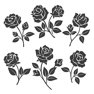 玫瑰剪影装饰套装。玫瑰剪影矢量图。在白色背景上隔离的玫瑰模板的黑色花蕾和茎