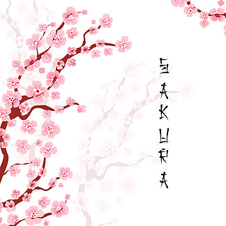 逼真的樱花日本樱花枝,盛开着粉红色的花朵抽象矢量图
