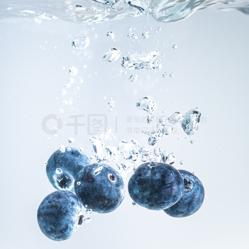 蓝莓果子摄影图高清摄影大图-千库网