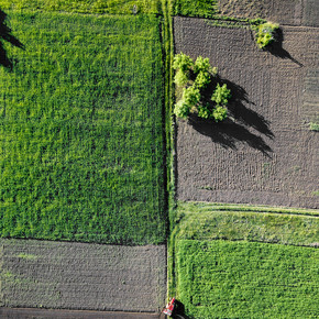 鸟瞰田间农业工作，田间拖拉机。无人机拍摄的照片。在农村领域的鸟瞰图拖拉机工作
