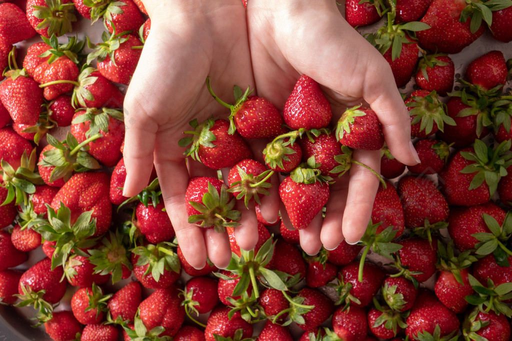 新鲜成熟的有机草莓特写女人手里拿着草莓平躺女人手上有许多健康的