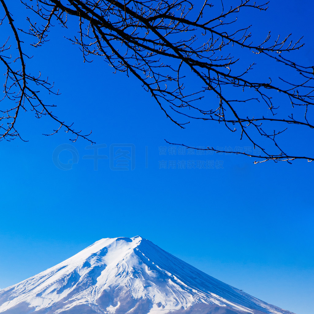 Ӵ總ʿ Chureito Pagoda Arakurayama Sengen ԰ѩĸʿɽ¼