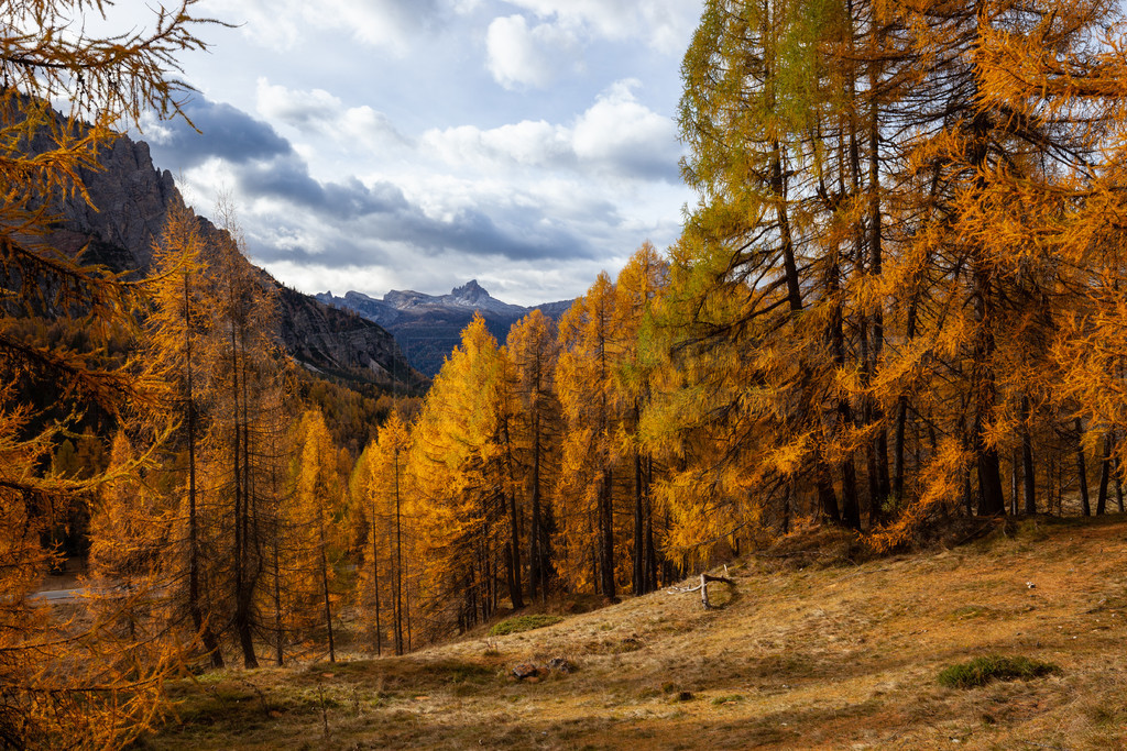 Val di Funes ɼеɫʡŵϵ޶׵٣