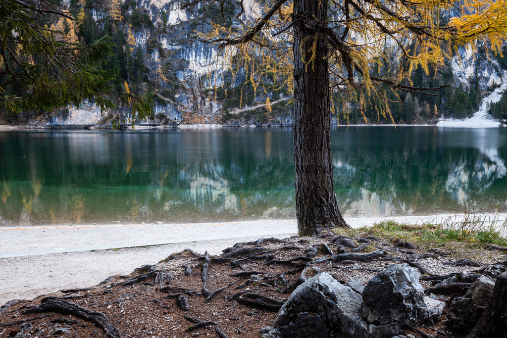 Braies 羰ϵ޶˹ɽ Lago di BraiesŷͷǳܻӭĿĵءķ羰Ҷں˹羰ϵ޶˹ɽ